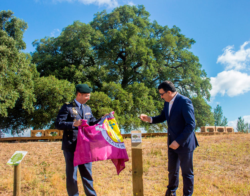 Sobreiro Grande de Águas de Moura homenageado pela GNR