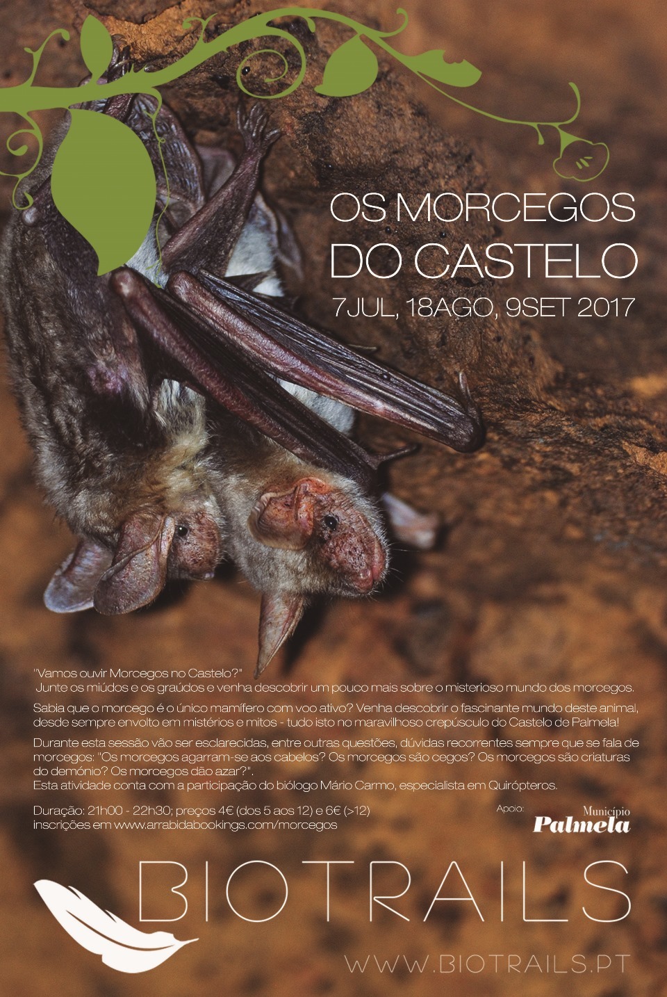 Miúdos e graúdos à descoberta do mundo dos morcegos