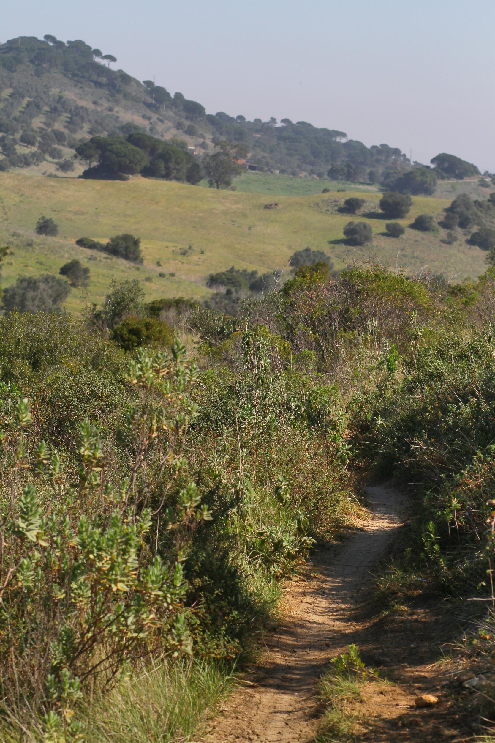 Autoridade Nacional de Proteção Civil prolonga estado de alerta Laranja até dia 18