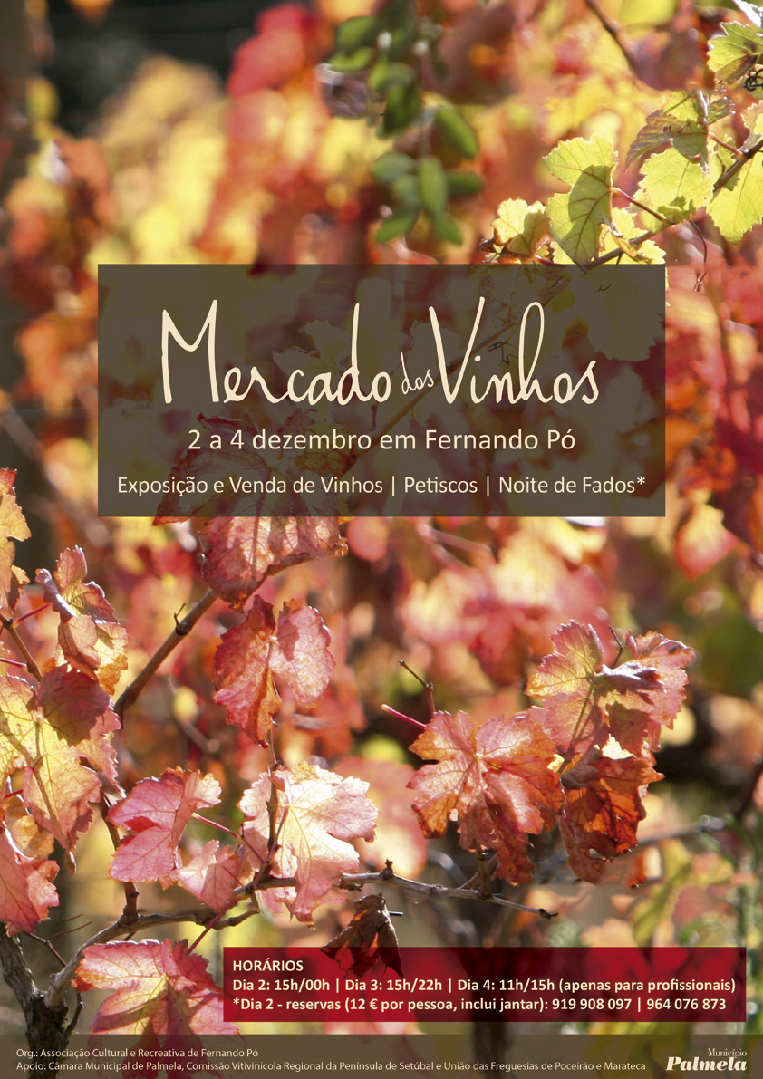 "Mercado dos Vinhos" promove produção regional em Fernando Pó