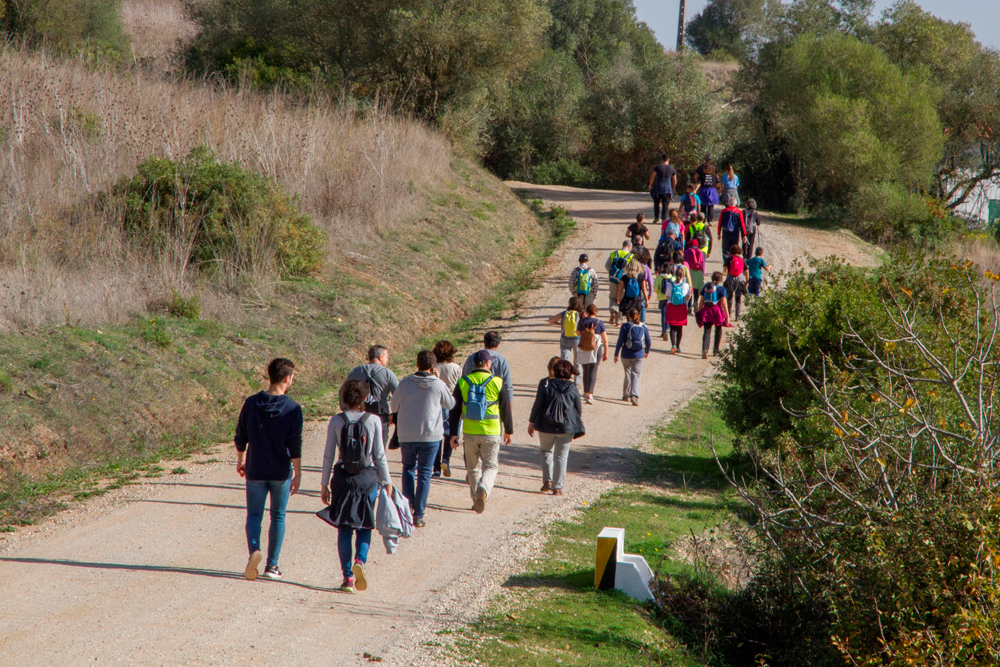 “Mexa-se em Palmela”: Marchar ou pedalar. A escolha depende de si!