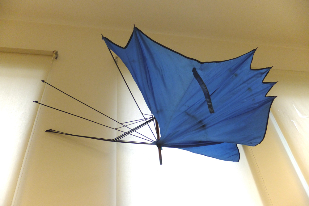"Inquietações de um guarda-chuva": Jovens da Escola José Saramago participam em instalação artíst...