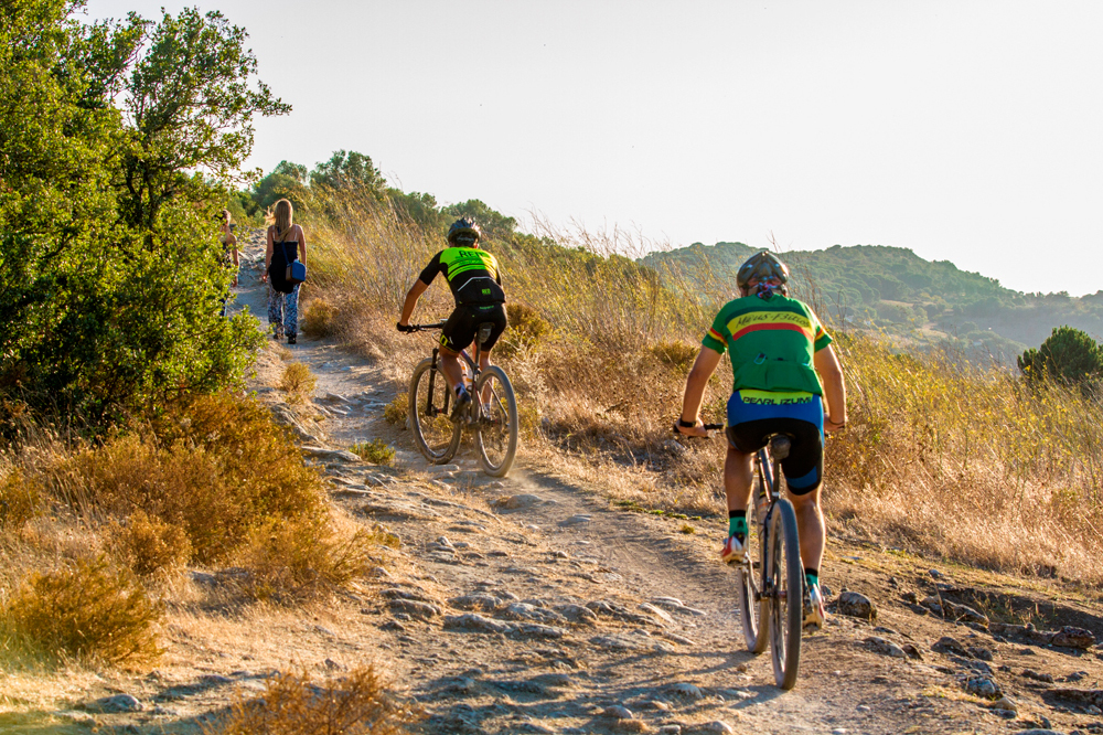 Desporto Escolar promove caminhada desportiva e BTT na Arrábida no âmbito do “Mexa-se em Palmela” 