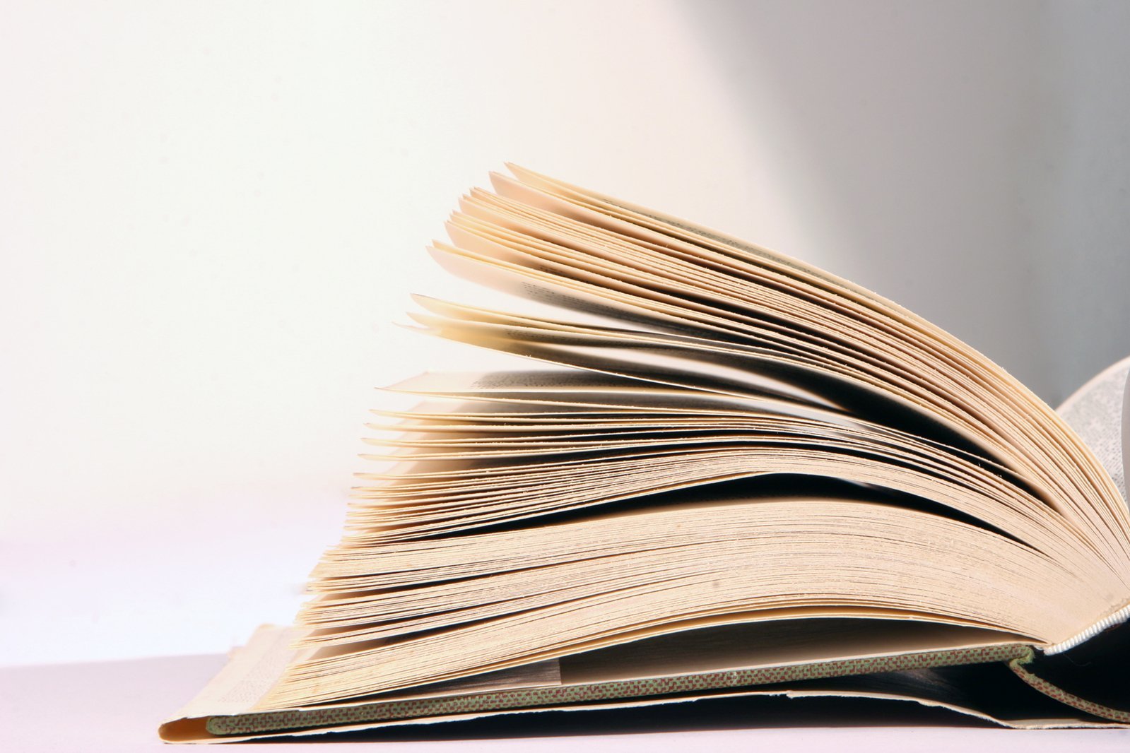 Câmara de Palmela oferece livros aos novos utentes das Bibliotecas