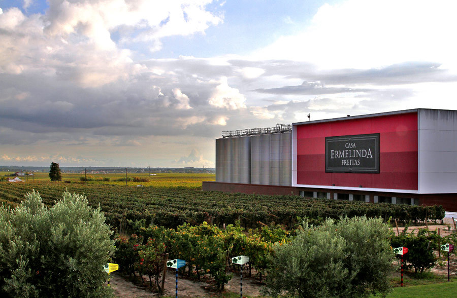 Município saúda Casa Ermelinda Freitas pela Medalha de Ouro obtida no Concours International Wine...