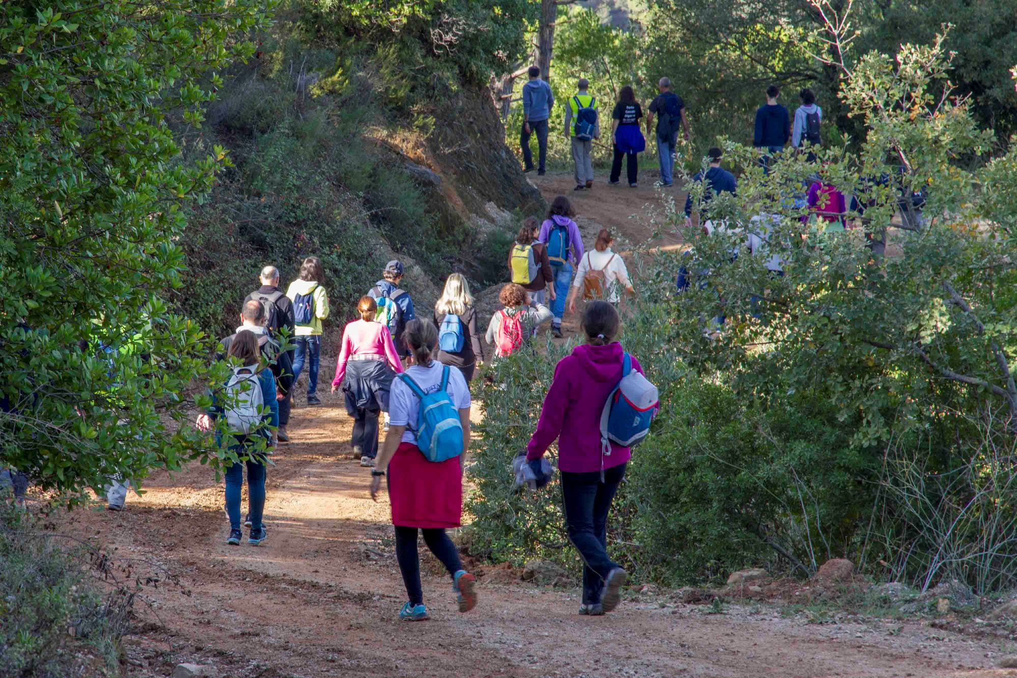 “Mexa-se em Palmela” propõe caminhadas e hidroginástica em maio