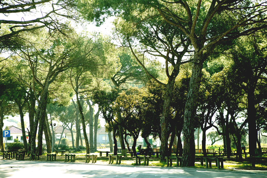 São Gonçalo em festa entre os dias 10 e 13 de maio