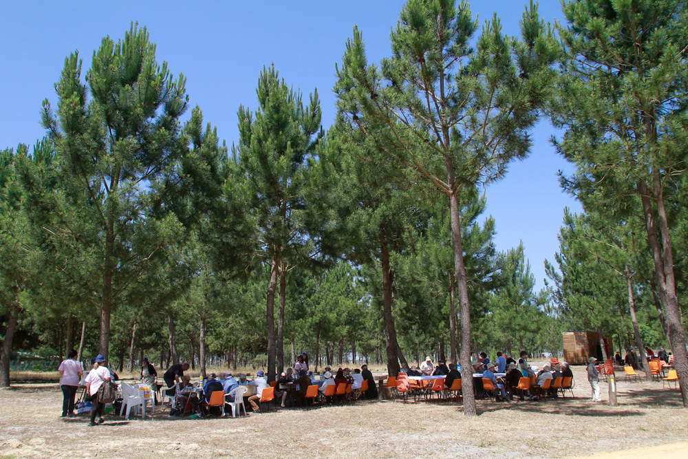 População de idade maior celebra Dia da Espiga