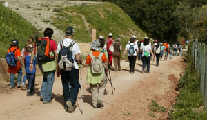 Mexa-se em Palmela em junho 