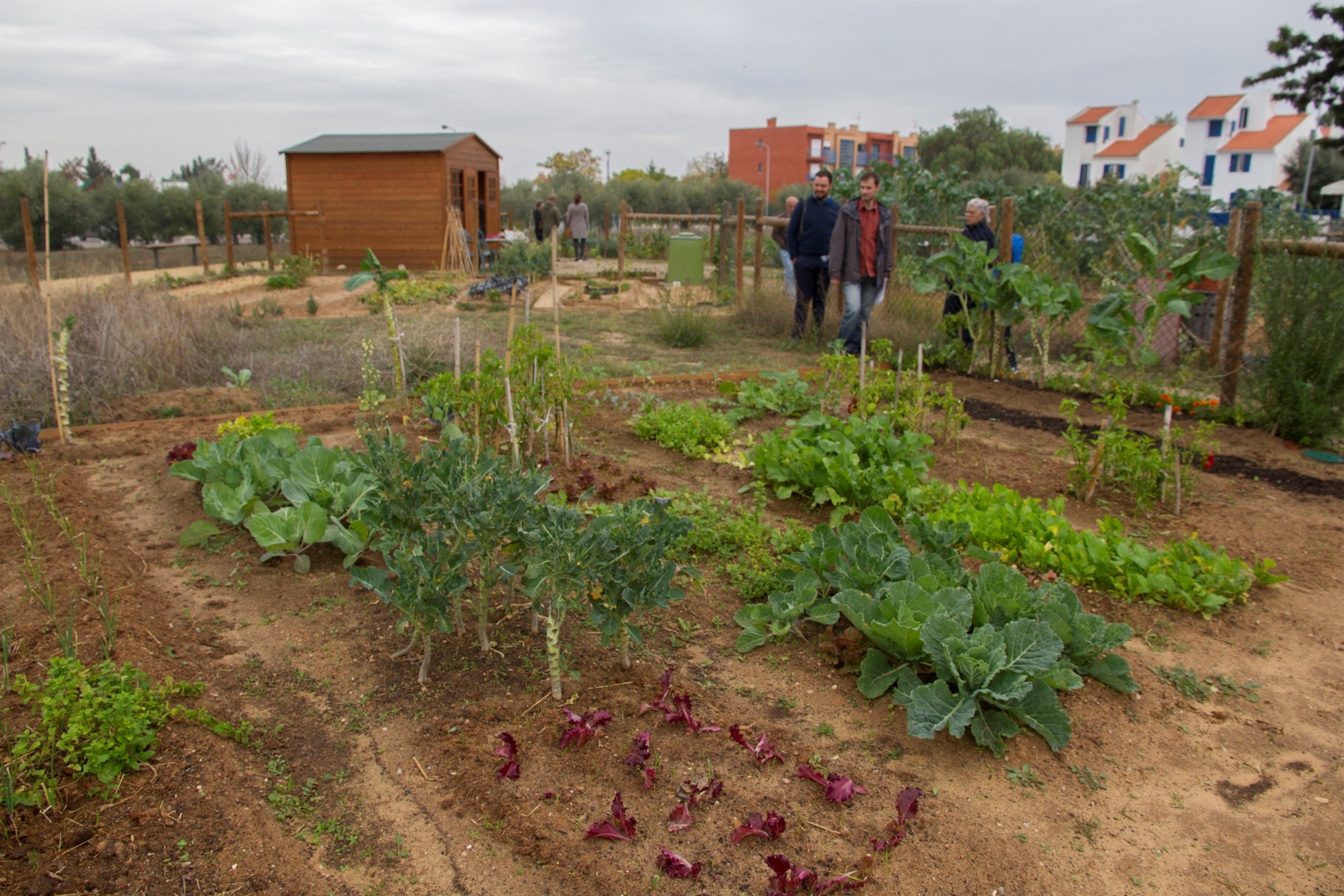 Município de Palmela comemora o ambiente e a energia