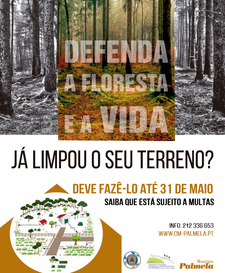 Defenda a Floresta e a Vida: Limpeza de terrenos deve estar concluída até ao final de maio