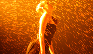 Espetáculo “The Elements” cancelado