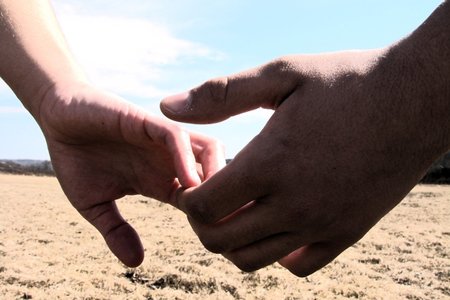 Município de Palmela e agentes locais celebram Protocolo de Colaboração