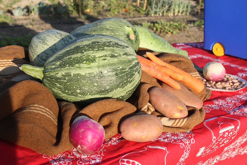 29.ª Feira Comercial e Agrícola de Poceirão  alia promoção do mundo rural e animação