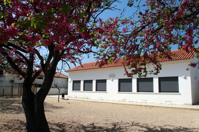 Adjudicada requalificação e ampliação da EB de Brejos do Assa 