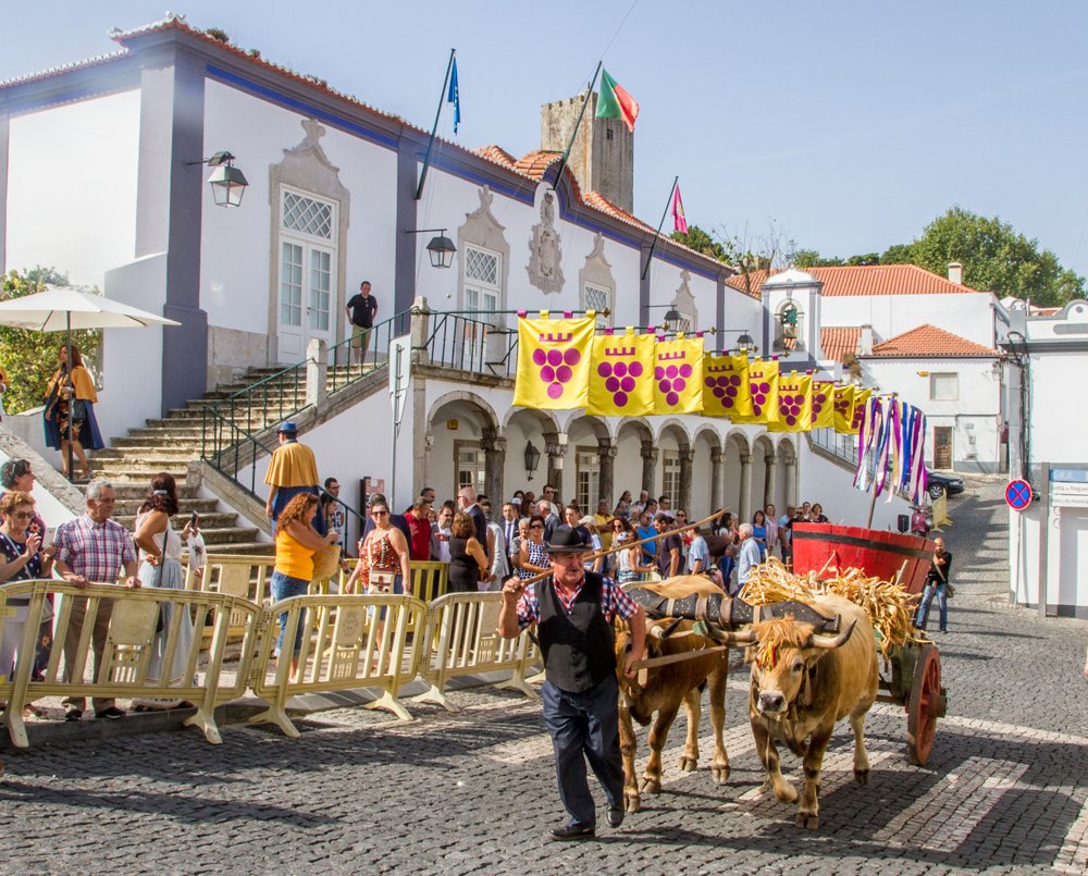 Município de Palmela saúda 56.ª  Festa das Vindimas