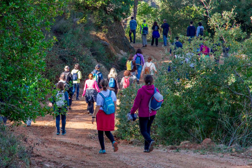 Comemorações do Dia Mundial do Coração em Palmela
