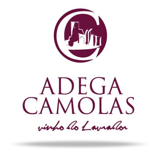 Município saúda Adega Camolas pelos resultados alcançados no certame internacional “Zarcillo Awards”