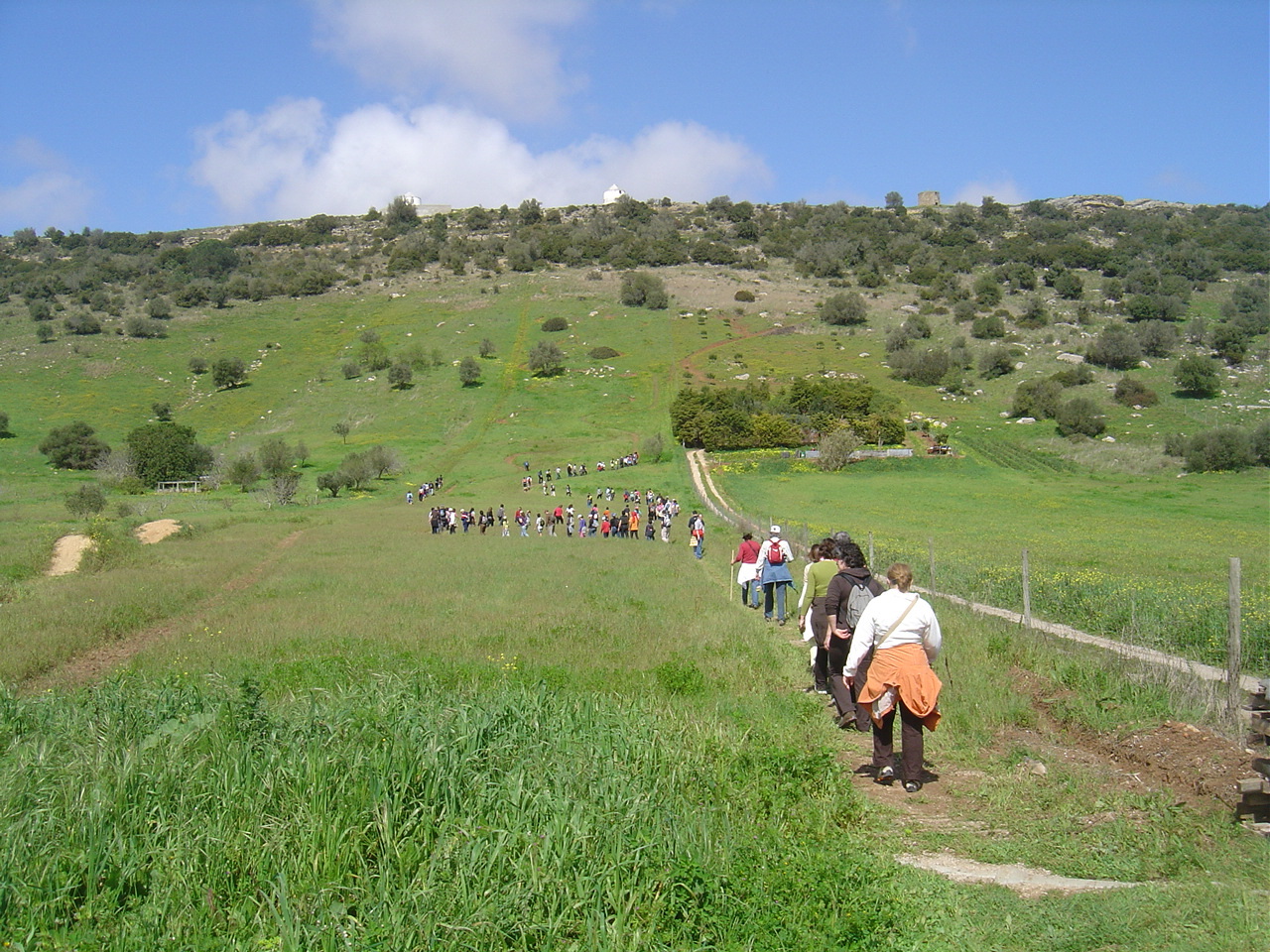 “Mexa-se em Palmela” com caminhada desportiva