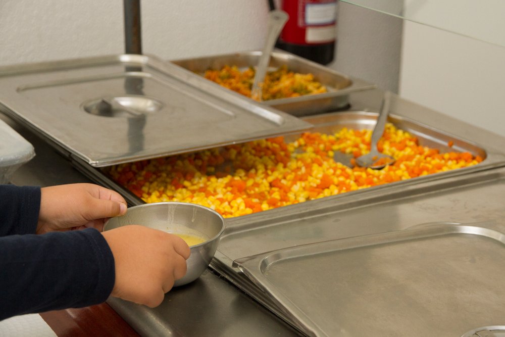 Município de Palmela adjudica fornecimento de refeições escolares para 2019 