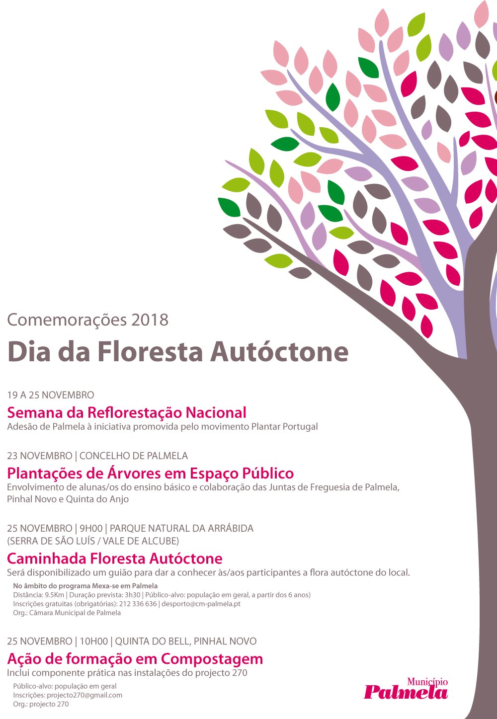 Plantação de árvores assina Dia da Floresta Autóctone no concelho de Palmela