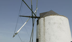 Palmela assinala Dia Nacional dos Moinhos e Dia dos Moinhos Abertos de Portugal 