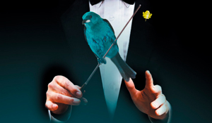 Neste sábado há Concerto da Primavera 