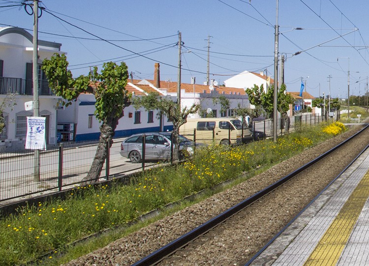 Arranjos Exteriores de Fernando Pó em concurso