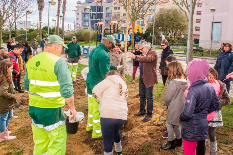 Plantação de árvores assinala Dia Mundial da Floresta em Palmela