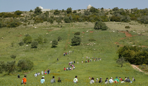 Mexa-se em Palmela em março 