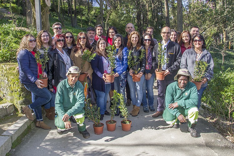 Dia Mundial da Floresta: Espaços públicos do Concelho ganham novas árvores