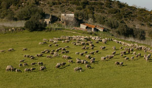 Conversas na Aldeia: Documentário motiva partilha de memórias sobre Arrábida 