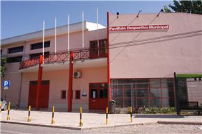 Festival Infantil de Ginástica reúne quatro centenas de crianças em Pinhal Novo 