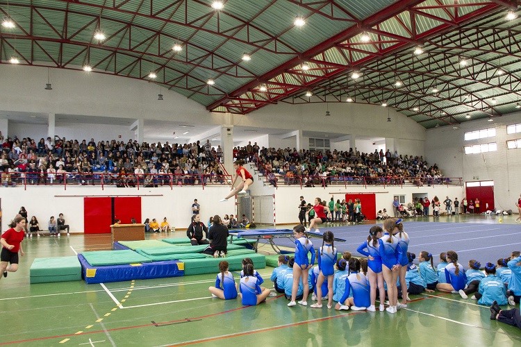  350 atletas participam na IV Festa da Ginástica em Pinhal Novo