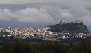 Palmelavistageral 1 750 2500