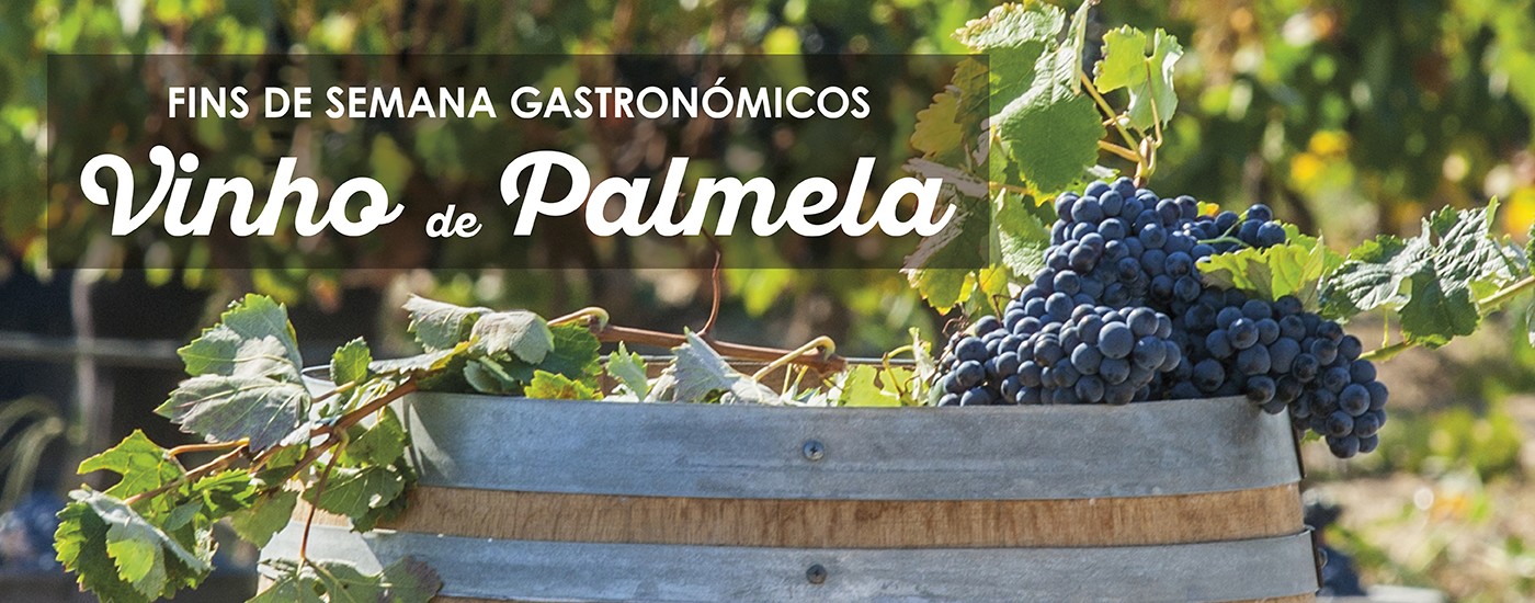 Fins de Semana Gastronómicos dedicados ao Vinho de Palmela