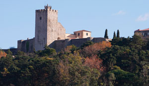 Visitas guiadas mensais ao Castelo e ao Centro Histórico  