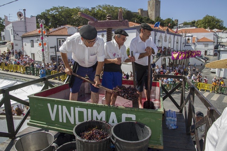 Festa das Vindimas brinda aos Vinhos de Palmela até 3 de setembro