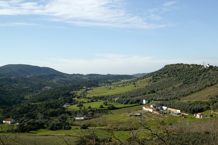 Moção “Preservar o Ambiente e a Natureza, Prevenir as Alterações Climáticas”