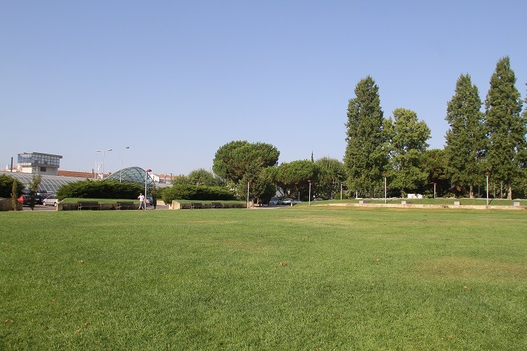 Circuito Urbano do Pinhal Novo: Carreira 449 da TST gratuita até 31 de outubro!