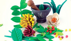 Guia de Remédios Naturais para Crianças apresentado em Palmela 