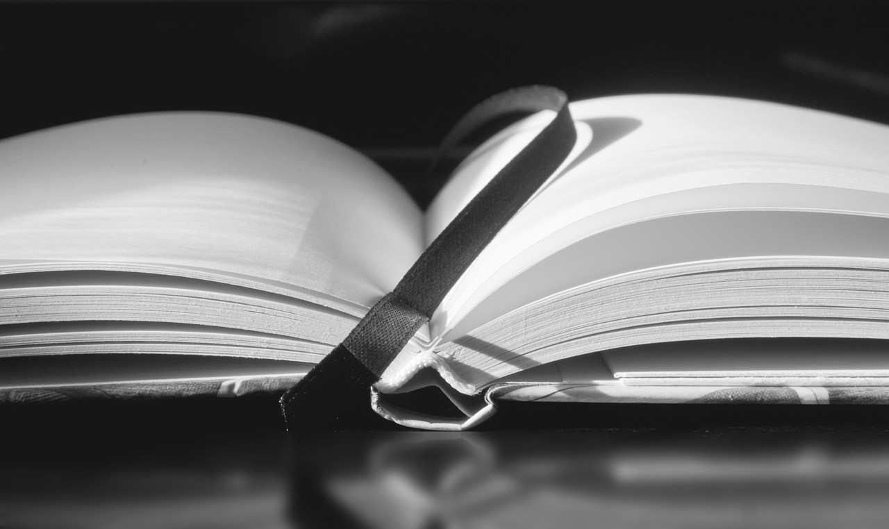 “Palavras na Nossa Terra” destaca poesia tradicional japonesa