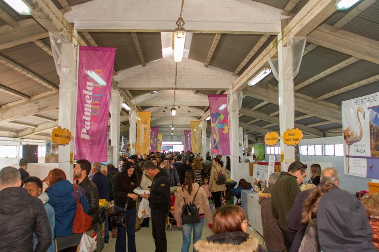 Município apoia Festival Queijo, Pão e Vinho