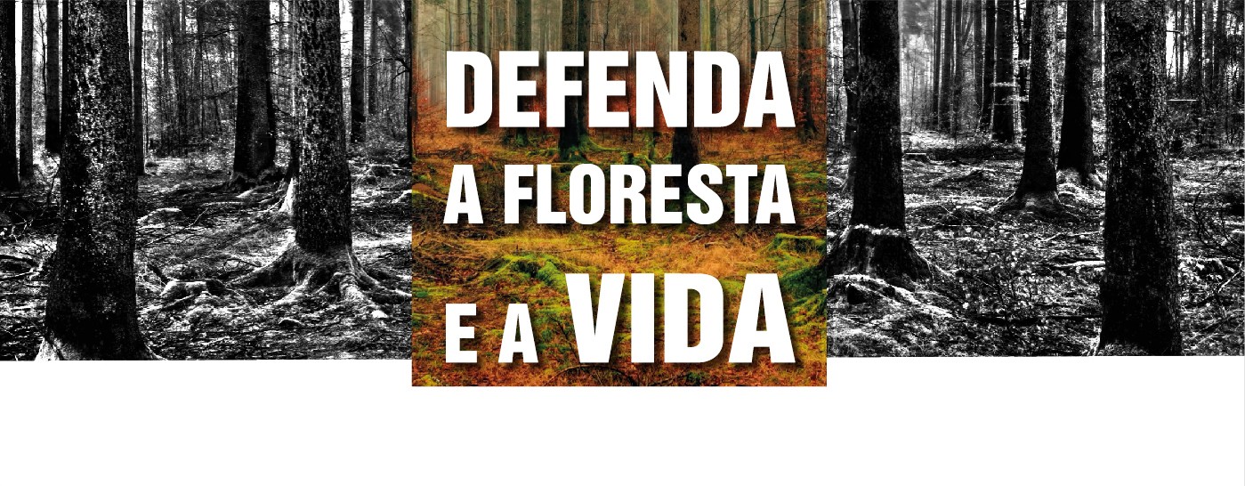 Limpeza de terrenos obrigatória até 15 de março