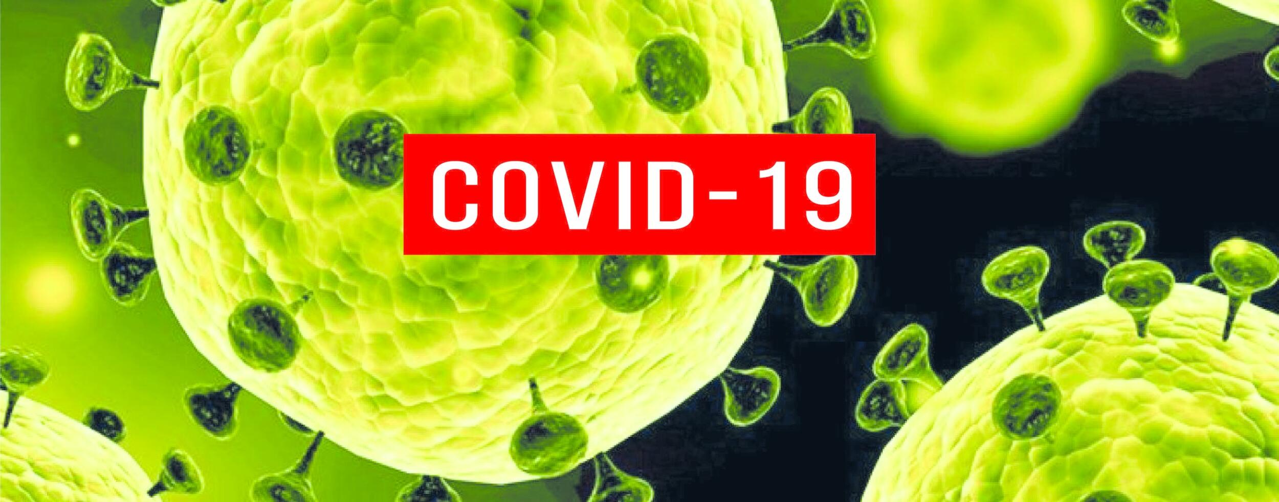 COVID-19: Município de Palmela reforça medidas de prevenção