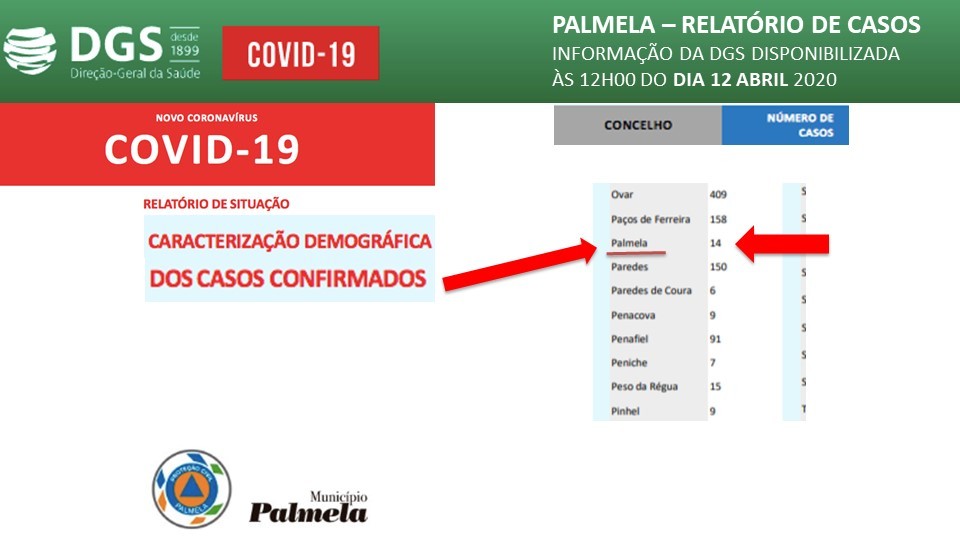 Relatório de Situação Diária da COVID 19 – 12 abril 2020