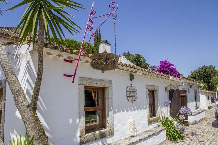 Adrepal obtém relevante interesse público