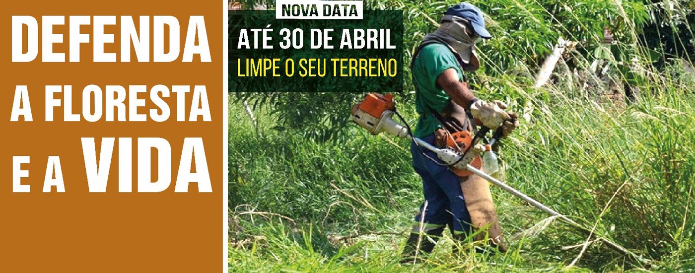 Até 30 de abril: novo prazo para limpeza de terrenos
