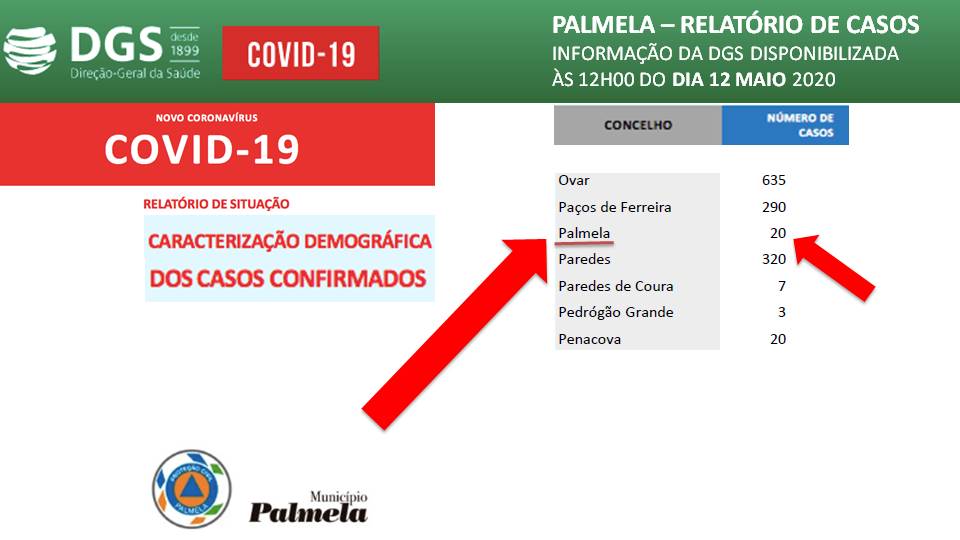 Relatório de Situação Diária da COVID 19 – 12 maio 2020