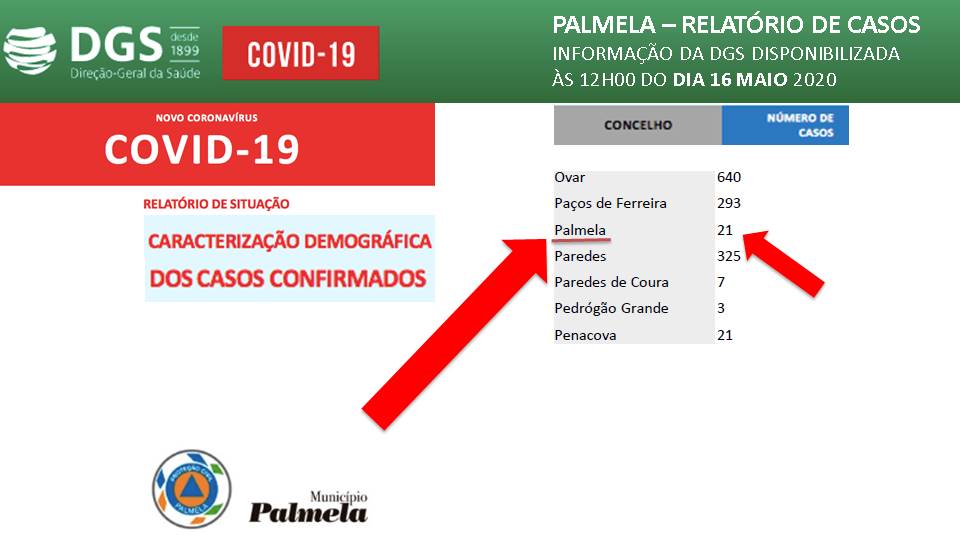 Relatório de Situação Diária da COVID 19 – 16 maio 2020